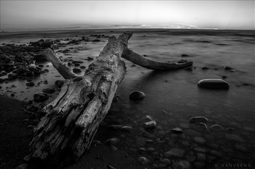 The beach was littered with drift wood of a million differant shapes and sizes.