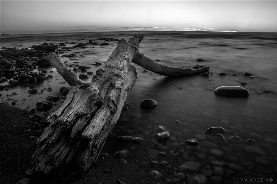 The beach was littered with drift wood of a million differant shapes and sizes.