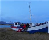 by david_vanessa, Views[260]