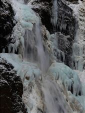 by david_vanessa, Views[273]