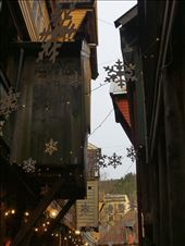 by david_vanessa, Views[720]