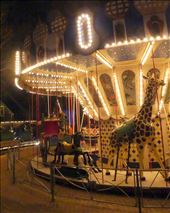 by david_vanessa, Views[272]