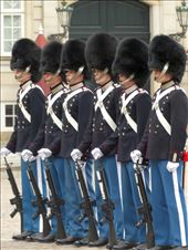 by david_vanessa, Views[675]