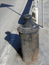 by david_vanessa, Views[291]