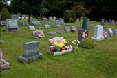 Flowery grave: by davidbru, Views[230]