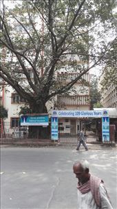 by davidford, Views[314]