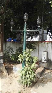 by davidford, Views[280]