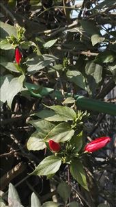 by davidford, Views[336]