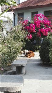 by davidford, Views[351]