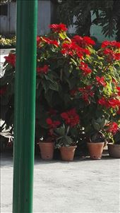 by davidford, Views[337]