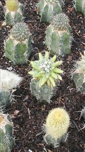 by davidford, Views[338]