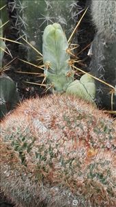 by davidford, Views[266]