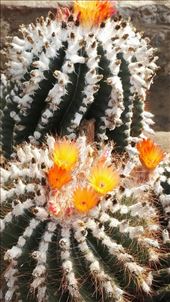 by davidford, Views[843]