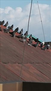 by davidford, Views[267]