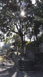 by davidford, Views[341]