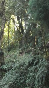 by davidford, Views[223]