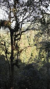 by davidford, Views[302]