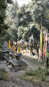 by davidford, Views[223]