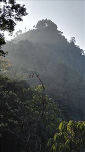 by davidford, Views[228]