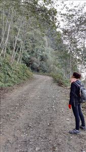 by davidford, Views[339]