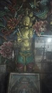 by davidford, Views[231]