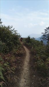 by davidford, Views[216]