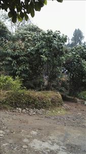 by davidford, Views[255]