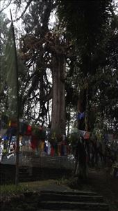 by davidford, Views[256]