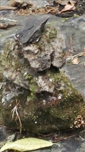 by davidford, Views[347]