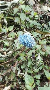 by davidford, Views[250]