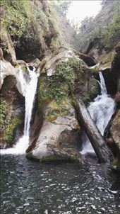 by davidford, Views[317]