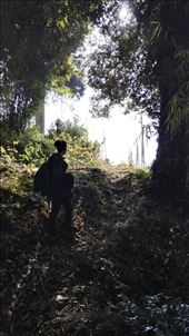 by davidford, Views[361]