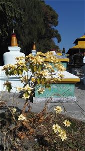 by davidford, Views[261]