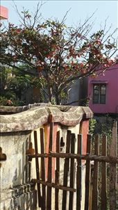 by davidford, Views[276]