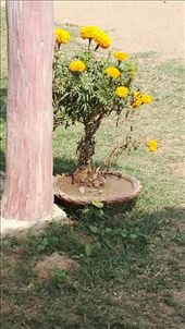 by davidford, Views[356]