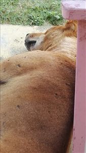 by davidford, Views[443]