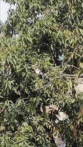 by davidford, Views[934]