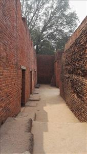 by davidford, Views[246]