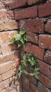 by davidford, Views[258]