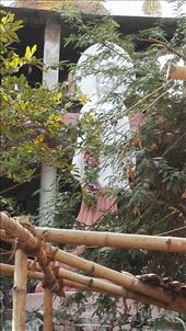 by davidford, Views[287]