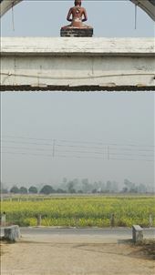 by davidford, Views[291]