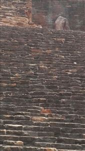 by davidford, Views[290]