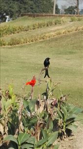 by davidford, Views[270]