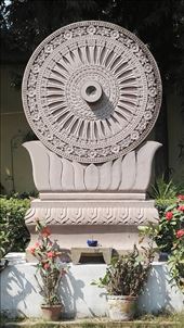 by davidford, Views[327]