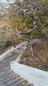 by davidford, Views[239]