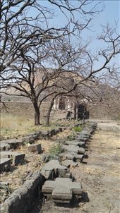 by davidford, Views[231]