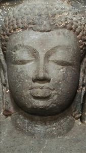 by davidford, Views[189]