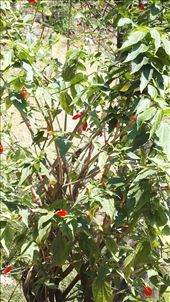 by davidford, Views[281]