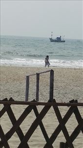 by davidford, Views[621]