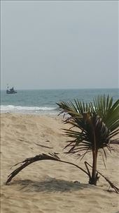 by davidford, Views[557]